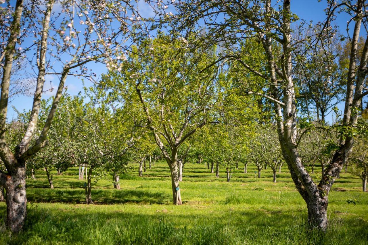 Вілла Dragon Orchard Retreat Ледбері Екстер'єр фото