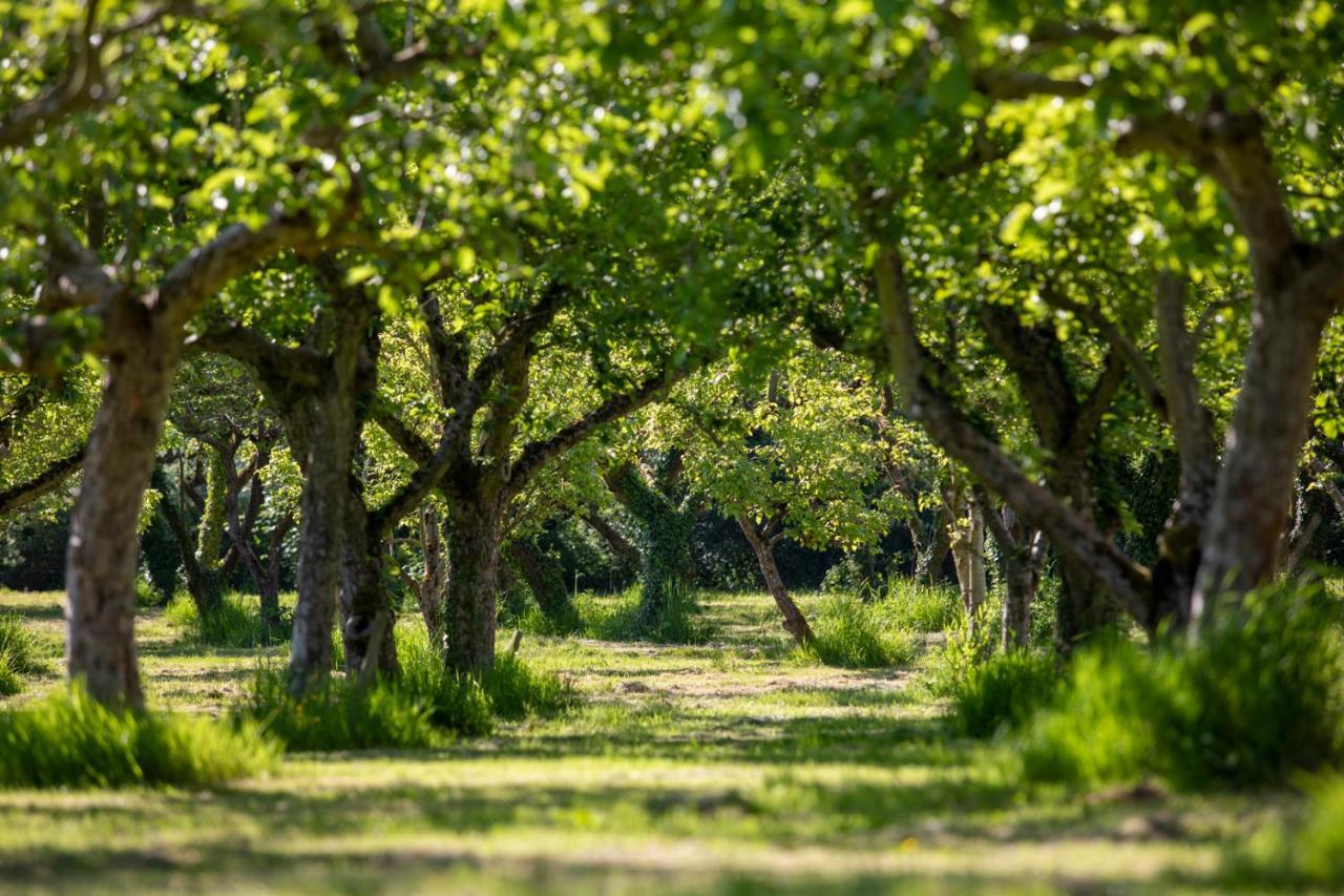 Вілла Dragon Orchard Retreat Ледбері Екстер'єр фото